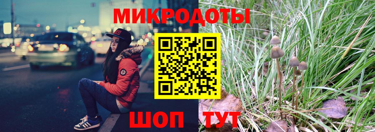 Галлюциногенные грибы Psilocybine cubensis Кондопога