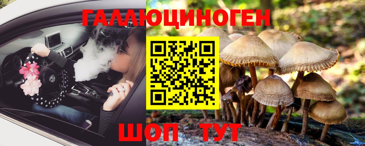 Кондопога  Псилоцибиновые грибы Psilocybine cubensis  Вход с VPN 