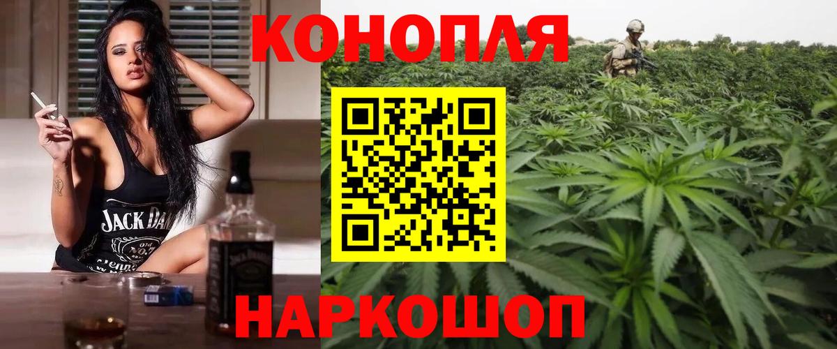 Канабис планчик Кондопога